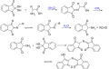 Ninhydrin Reaction Mechanism