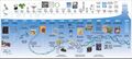 Timeline of the Human Genome Project