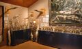 Húsavík Phallus Museum