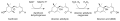 Biosynthesis pathway of Abscisic Acid