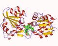 Uroporphyrinogen III synthase structure