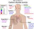 Main symptoms of carbon dioxide toxicity.