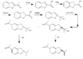 Synthesis of Tremetone (Enantiomeric)