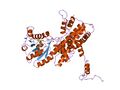 Structure of 6-phosphogluconate dehydrogenase