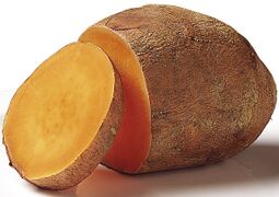 sweet potato (Ipomoea batatas)