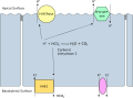 Alpha intercalated cell cartoon