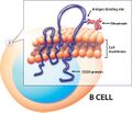 Radioligand