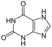 Xanthine structure
