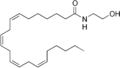 Docosatetraenoyl ethanolamide