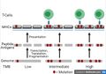 TMB Antigen Association