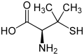 Structure of D-Penicillamine