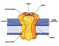 GABAA receptor