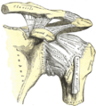 Lesser tubercle