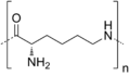 Polylysine
