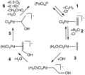 Wacker process cycle