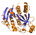 Purine_nucleoside_phosphorylase