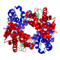 Hemoglobinuria