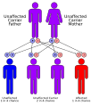 Werner syndrome