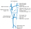 Supreme intercostal vein