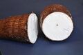Salvadoran cuisine