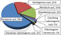 Relative incidence of odontogenic cysts