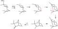 Camphene Biosynthesis Pathway
