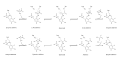 Mechanism of action of pyridoxal phosphate
