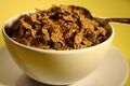 A bowl of cereal with raisins