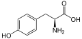 L-Tyrosine structure