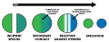 Speciation by Reinforcement Schematic