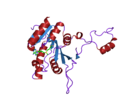 DNA methyltransferase structure 1g60