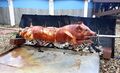 Pig roasting on a spit