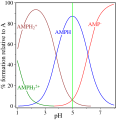 AMP Isoelectric Point