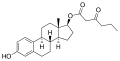 Estradiol butyrylacetate
