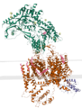 Calcium channel with gabapentin bound