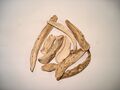 Dried Mango Slices