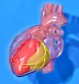 Left anterior descending artery