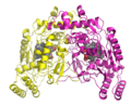 Nitric_oxide_synthase