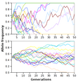Allele frequency