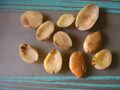 Irvingia gabonensis fruit