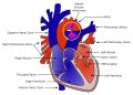 Patent ductus arteriosus diagram