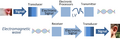 Signal processing system