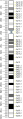 Chromosome 5 ideogram