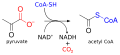 Pyruvate dehydrogenase complex reaction