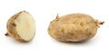 Russet potato cultivar with sprouts