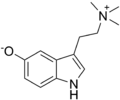 Substituted tryptamine