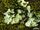 Stub icon