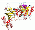 Phosphoinositide phospholipase C