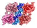 3KMD p53 DNA Binding Domain