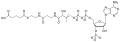Glutaryl coenzyme A
